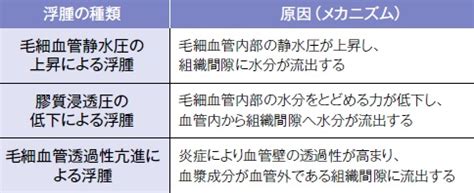 浮腫病|【浮腫とは？】浮腫の原因、メカニズム、治療・ケア。